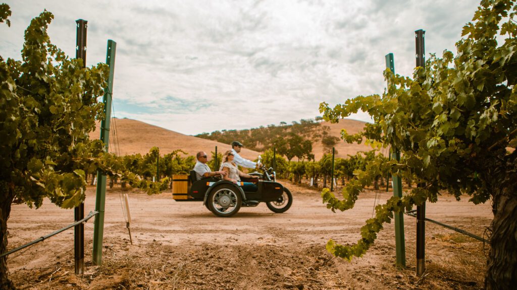 People riding in a motorcycle sidecar through vineyards in Paso Robles, California