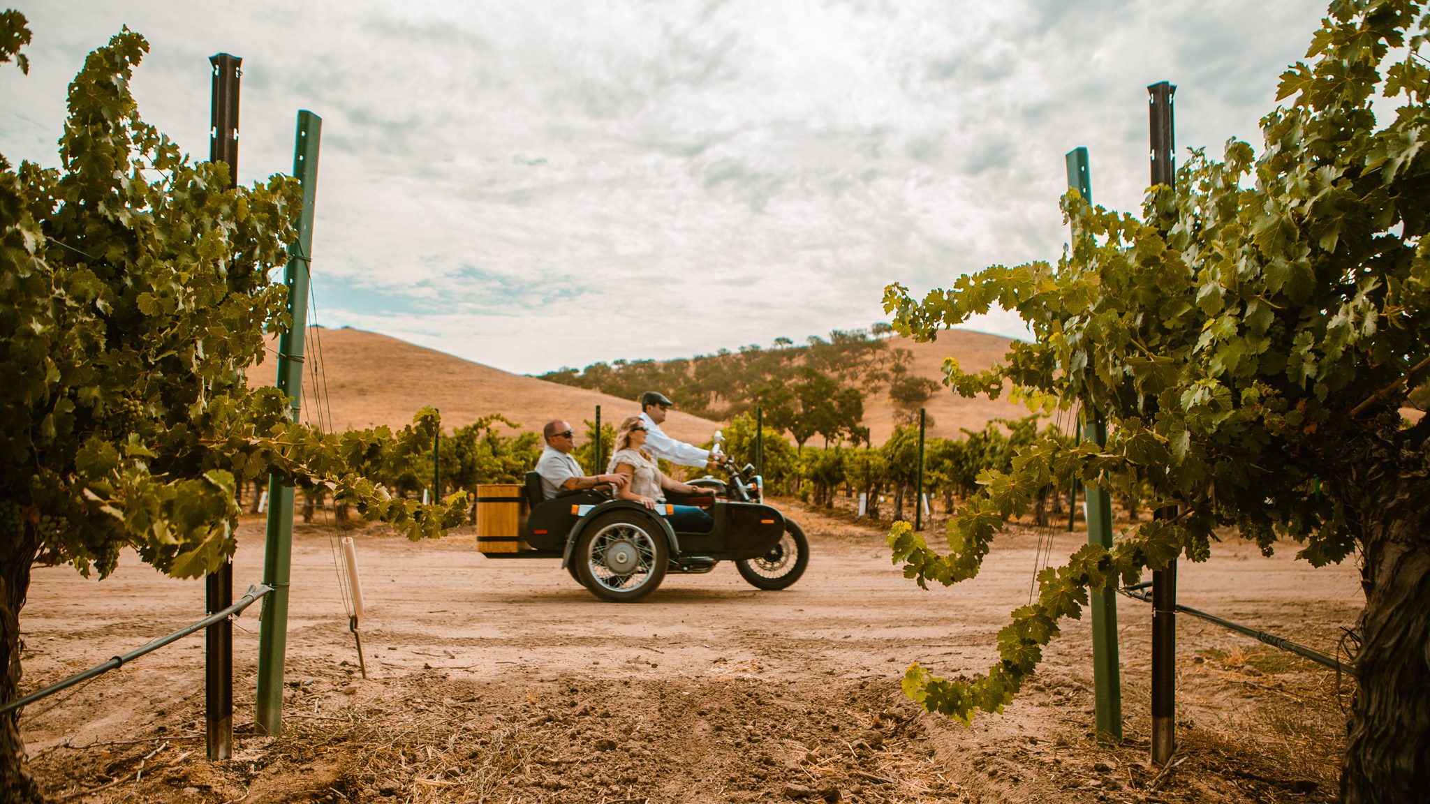 People riding in a motorcycle sidecar through vineyards in Paso Robles, California